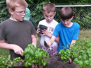 Kinder beim Bepflanzen des Hochbeetes