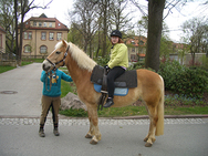 Ein Kind sitzt auf einem Pferd, das von einem Therapeuten gehalten wird.