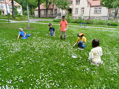 Wir sammeln gemeinsam Kräuter für unser Kräuterprojekt. Ob Blätter, Blumen, Kastanien oder auch Äste, aus vielen Naturmaterialien basteln wir schöne Sachen oder machen kleine Projekte daraus.