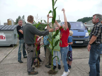 Kinder ertasten eine Maispflanze